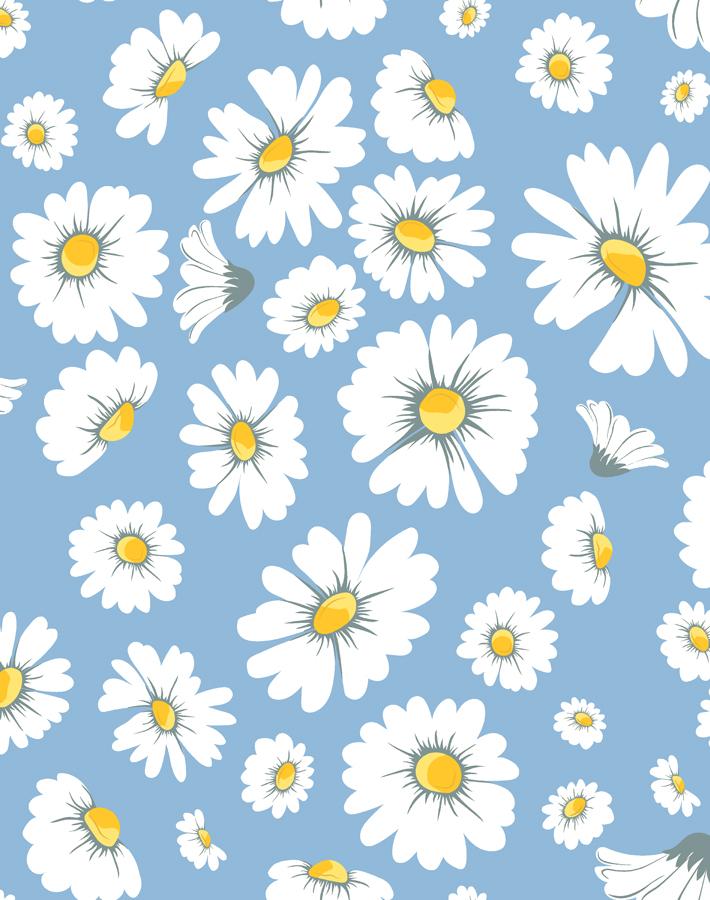 Daisy Bloom' Wallpaper by Wallshoppe - Baby Blue