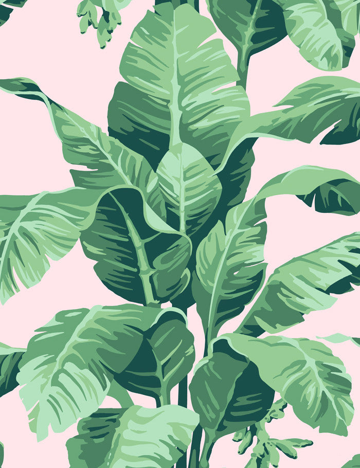 tropical leaf wallpaper