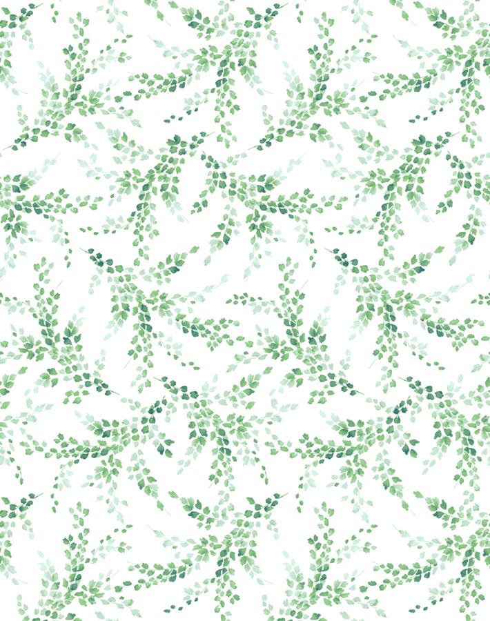 Wallshoppe Dandelion Floral Print Wallpaper
