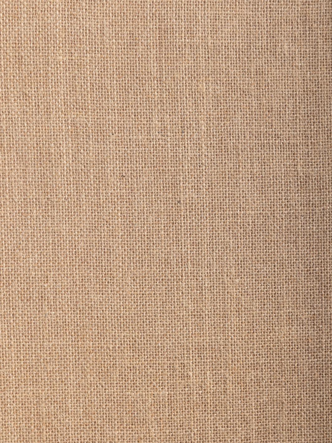 'Burlap' Grasscloth Wallpaper in Sisal