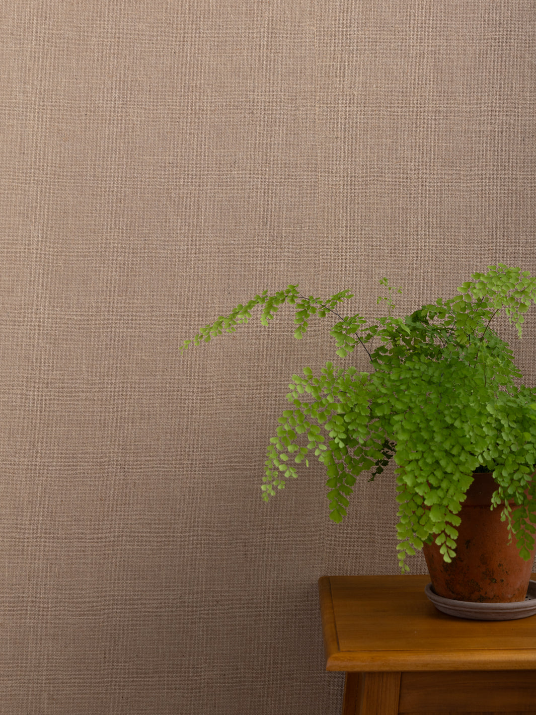 'Burlap' Grasscloth Wallpaper in Sisal