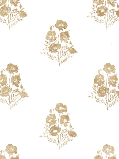 california poppy wallpaper by nathan turner gold