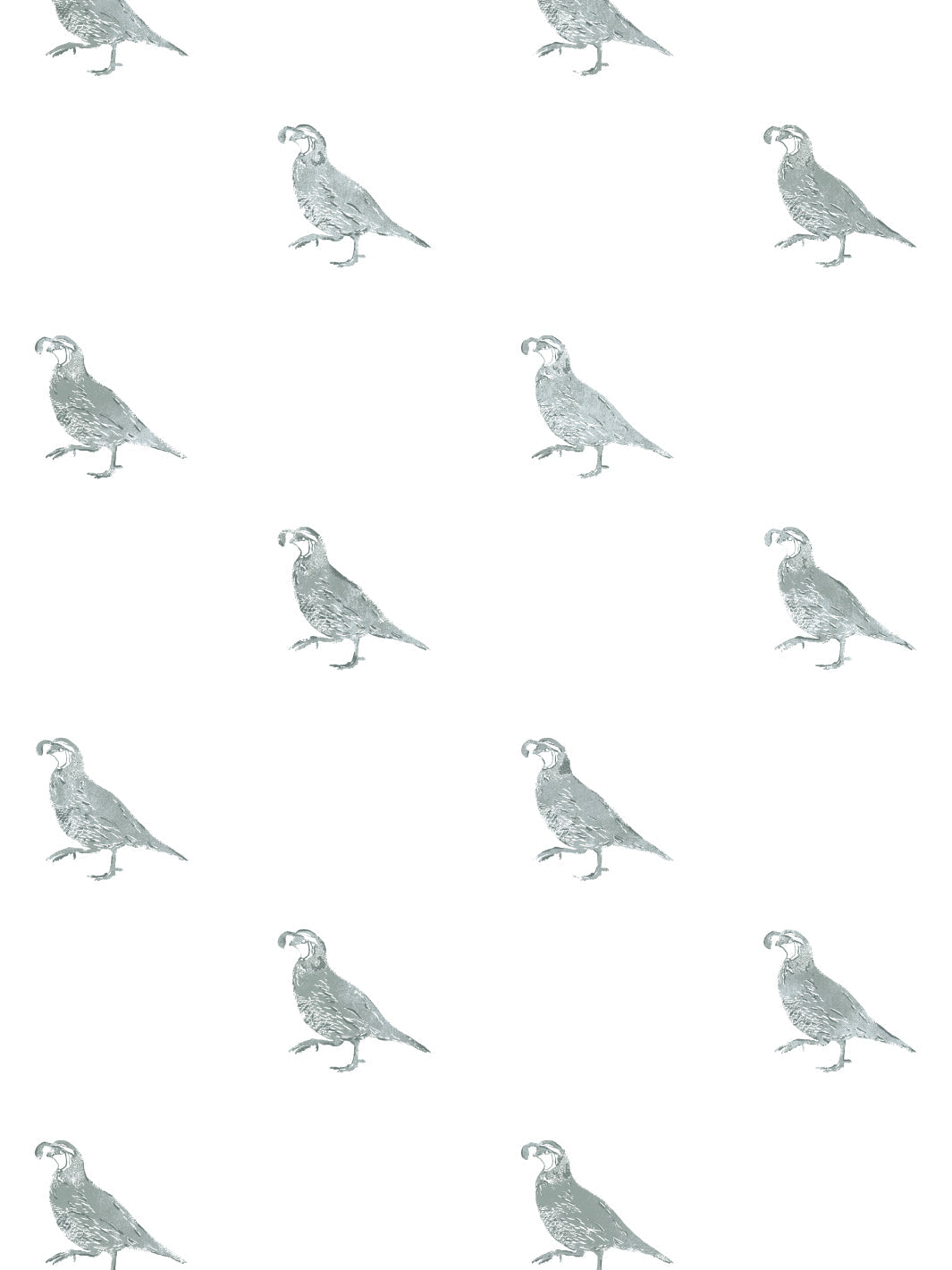 'California Quail' Wallpaper by Nathan Turner - Sage