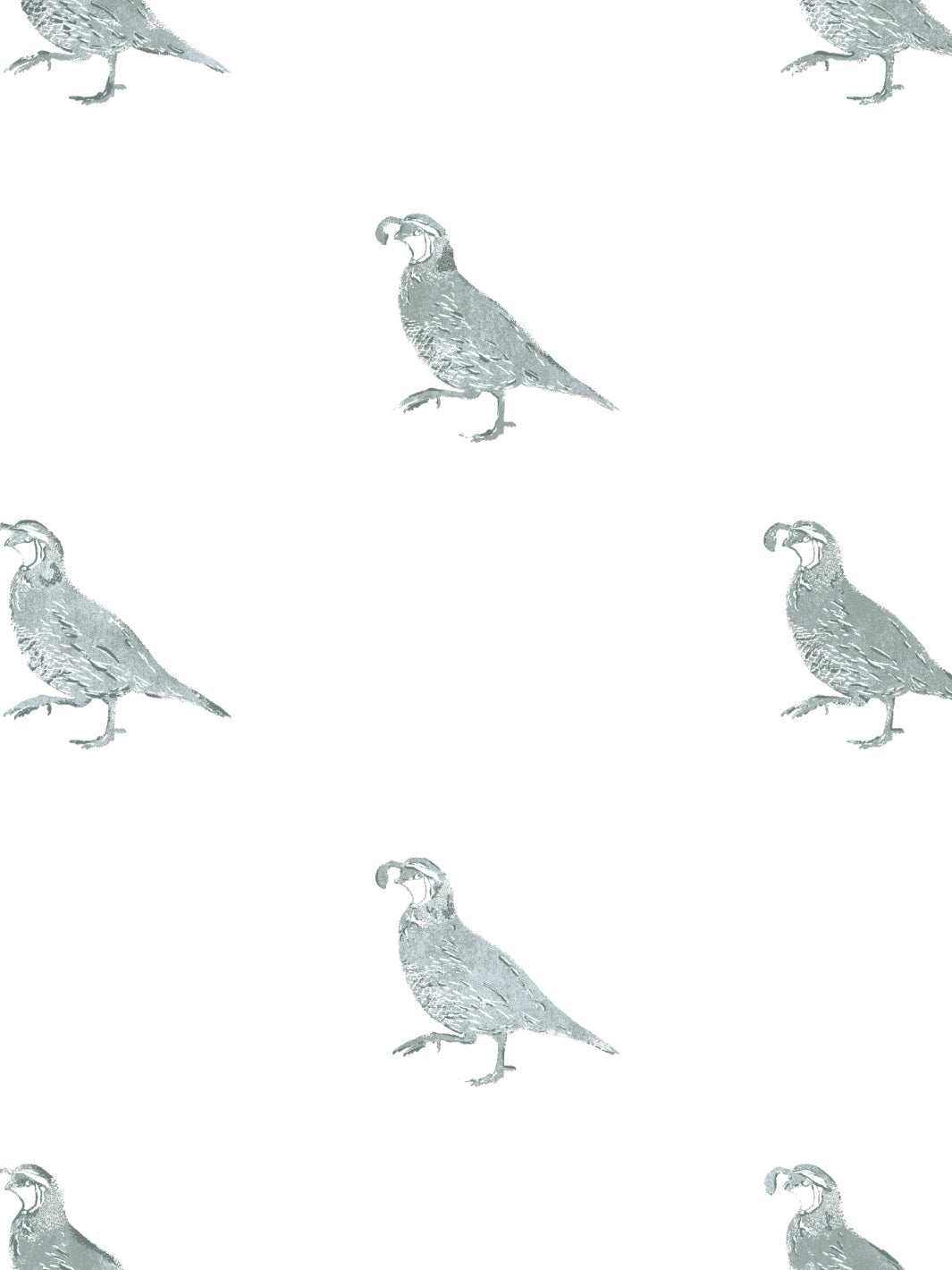 'California Quail' Wallpaper by Nathan Turner - Sage