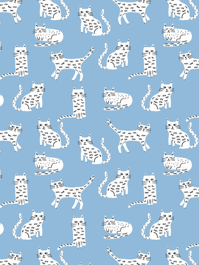 catsl wallpaper by tea collection cornflower 1