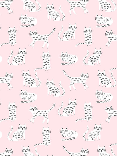 cats wallpaper by tea collection piggy bank