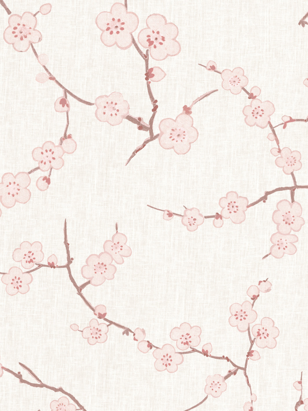 cherry blossom wallpaper by nathan turner pink