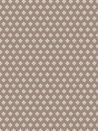 'Coco Petite' Wallpaper by Sugar Paper - Fawn