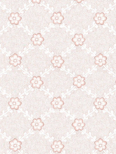 lucia wallpaper by nathan turner pink