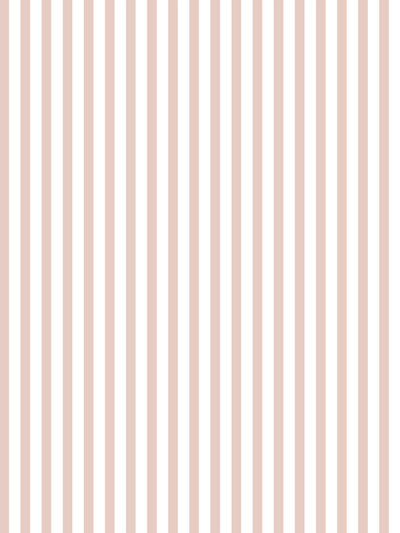 'Preppy Stripe' Wallpaper by Sugar Paper - Rose