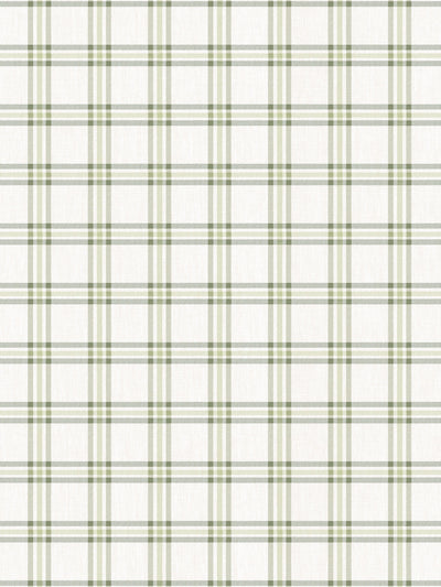 'Rogers Plaid' Linen Fabric by Nathan Turner - Green