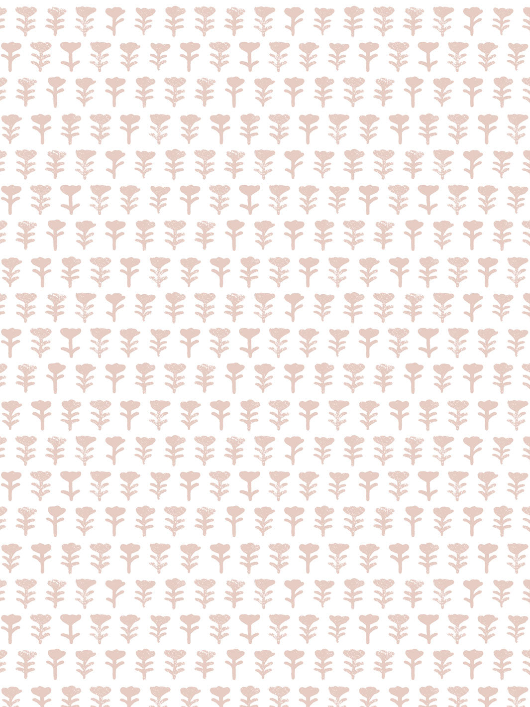 'Tulip' Wallpaper by Sugar Paper - Rose