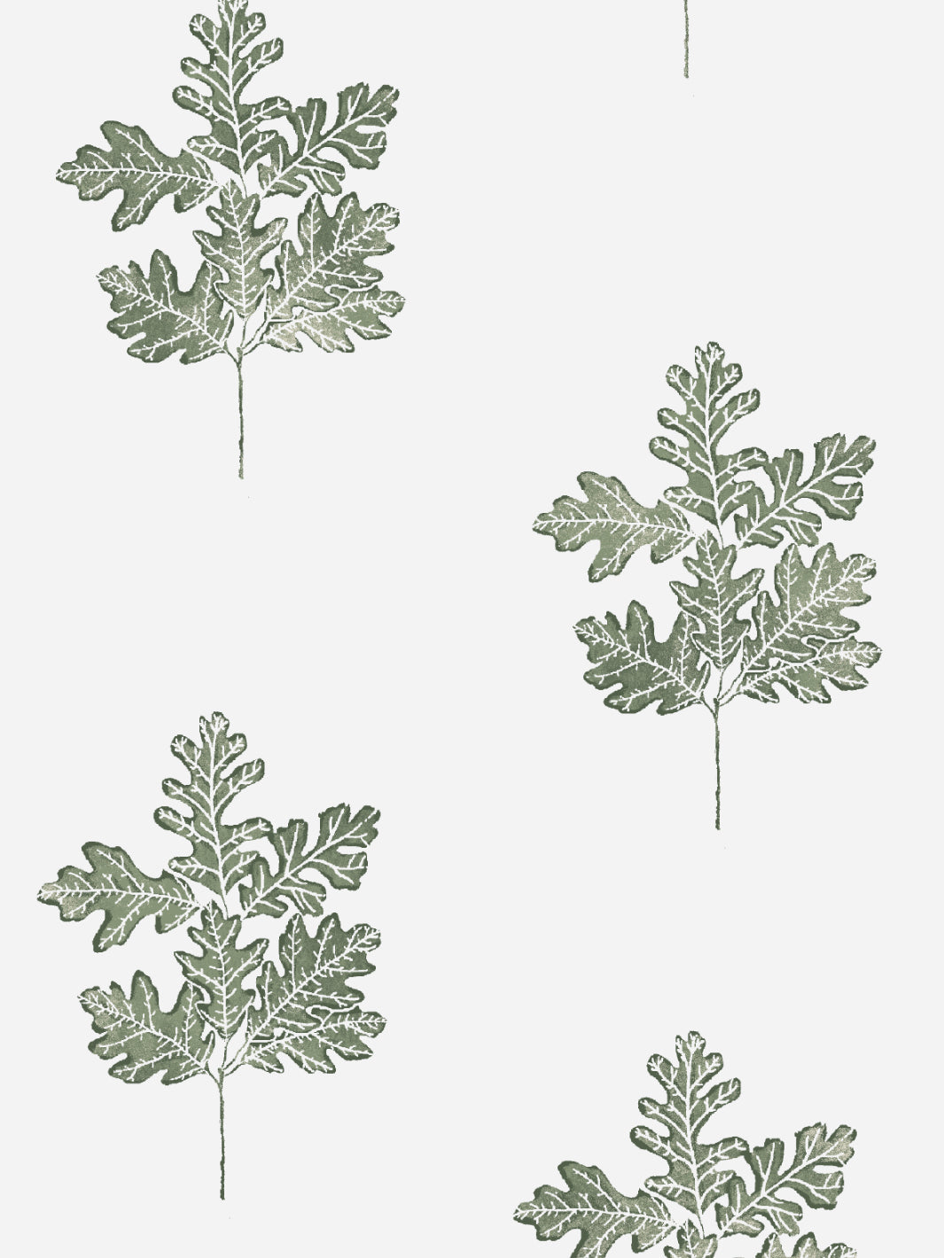 valley oak wallpaper by nathan turner green