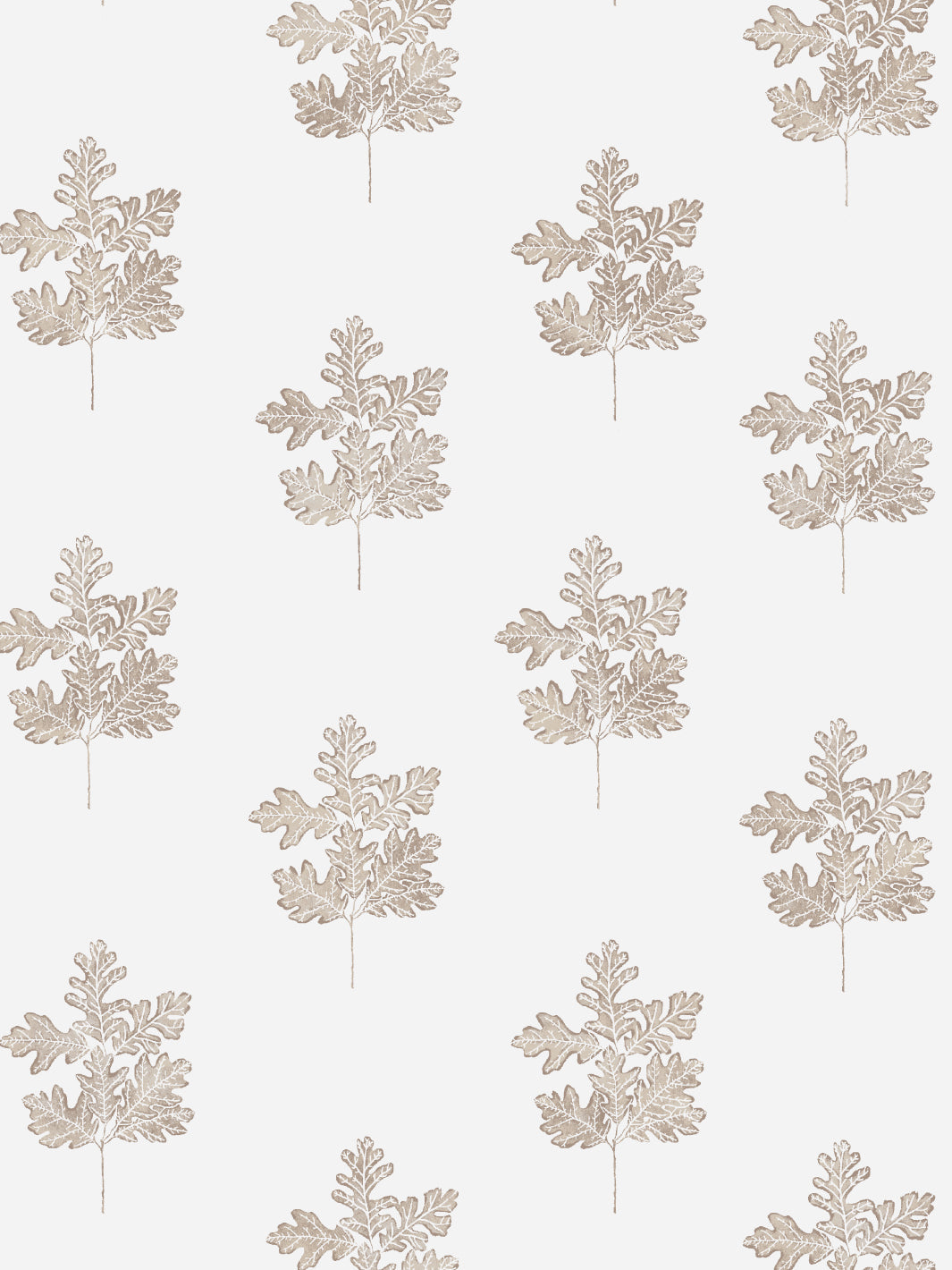 valley oak wallpaper by nathan turner neutral