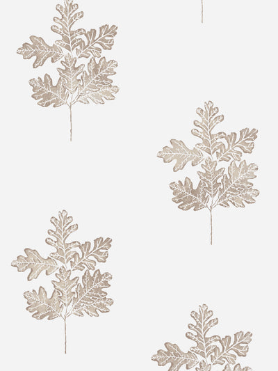 valley oak wallpaper by nathan turner neutral