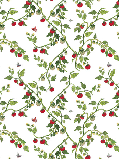 vite di pomodoro wallpaper by carly beck white