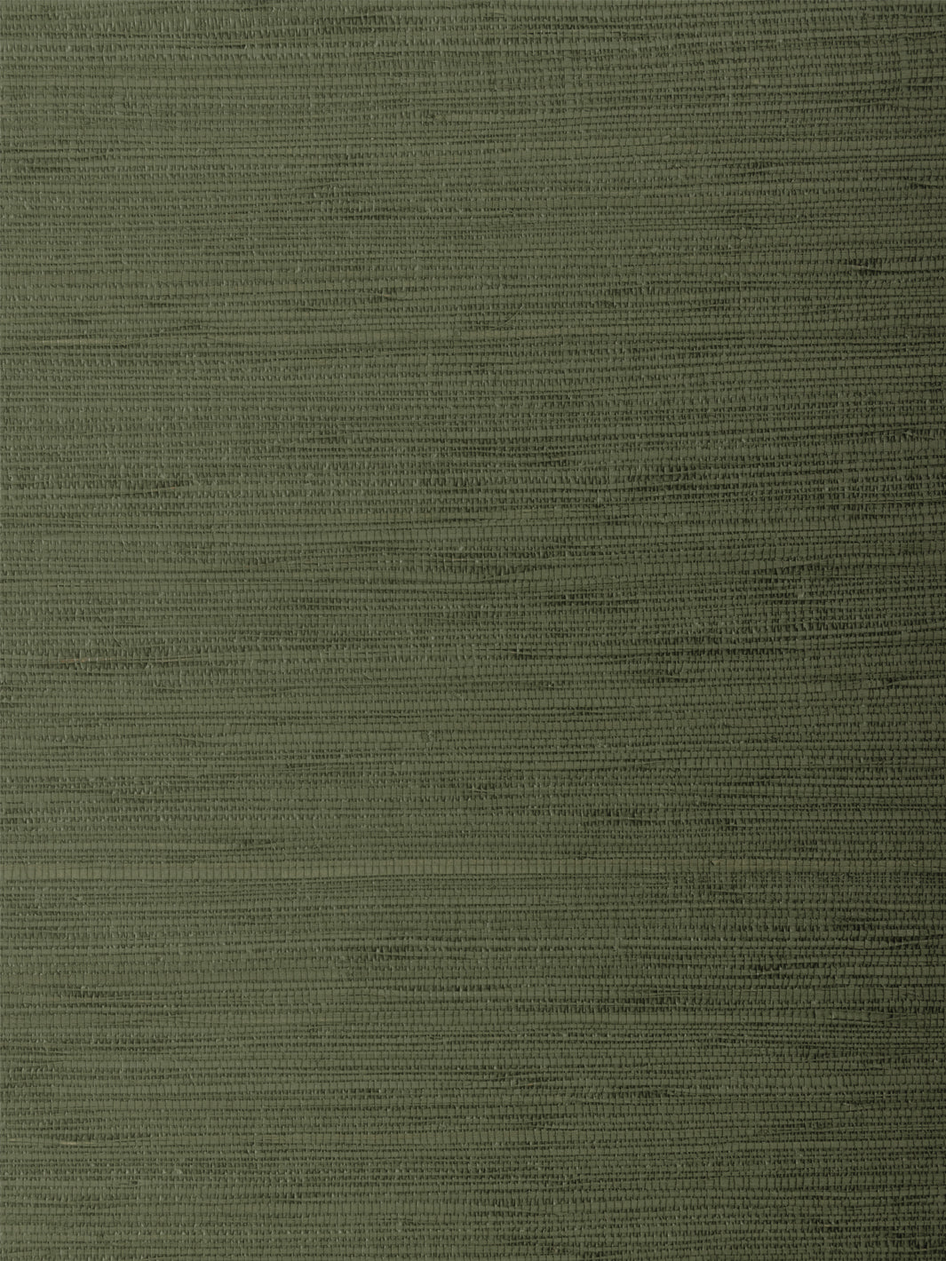 'Woven Solid' Grasscloth Wallpaper in Lawn