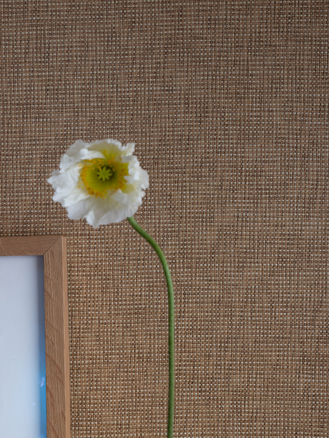 'Woven Textures' Grasscloth Wallpaper in Heavy Weave