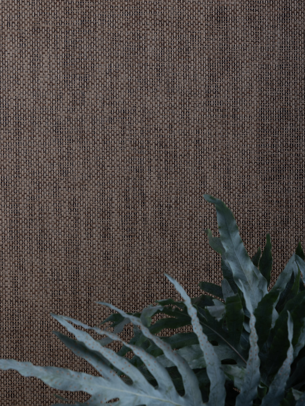 'Woven Textures' Grasscloth Wallpaper in Rattan - Black