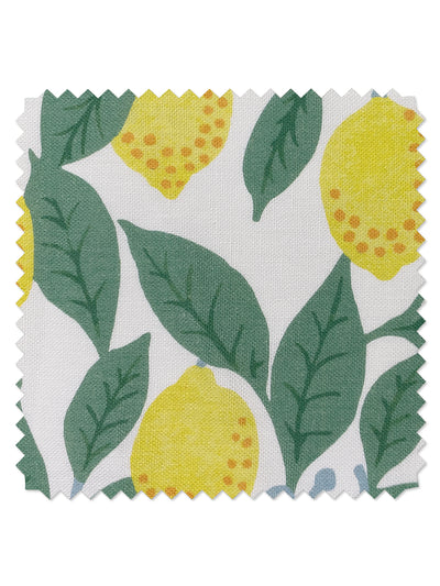 Fruit Fabric by the Yard