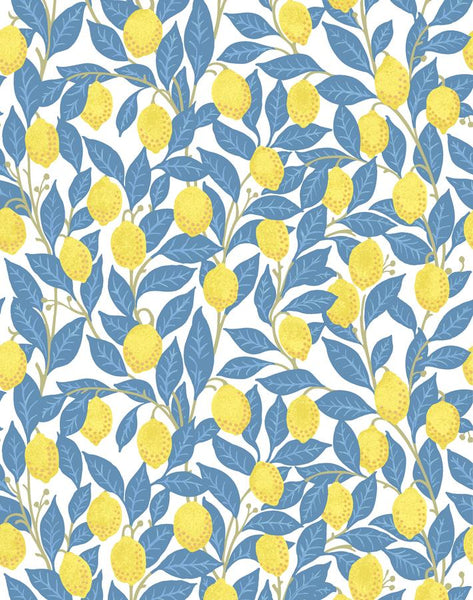 Daisy Bloom' Wallpaper by Wallshoppe - Baby Blue