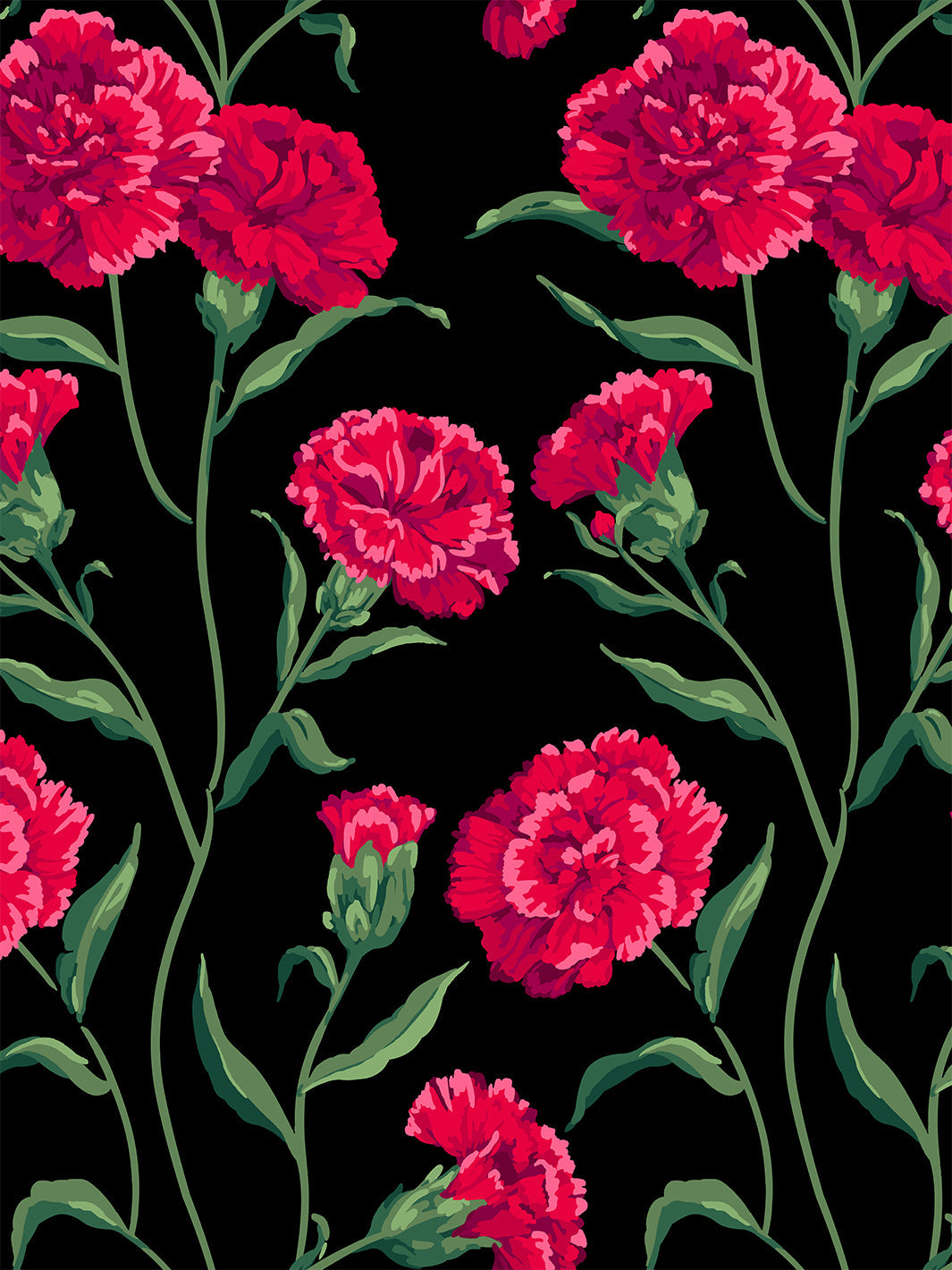 385 Carnation Wallpaper Photos, Pictures And Background Images For Free  Download - Pngtree